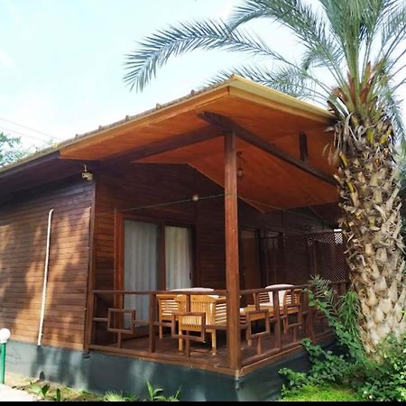 Olympos Yavuz Hotel Çıralı Extérieur photo