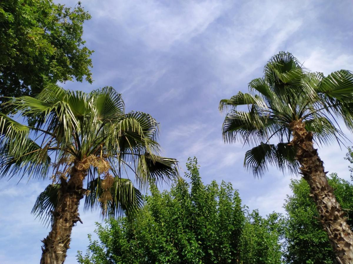 Olympos Yavuz Hotel Çıralı Extérieur photo