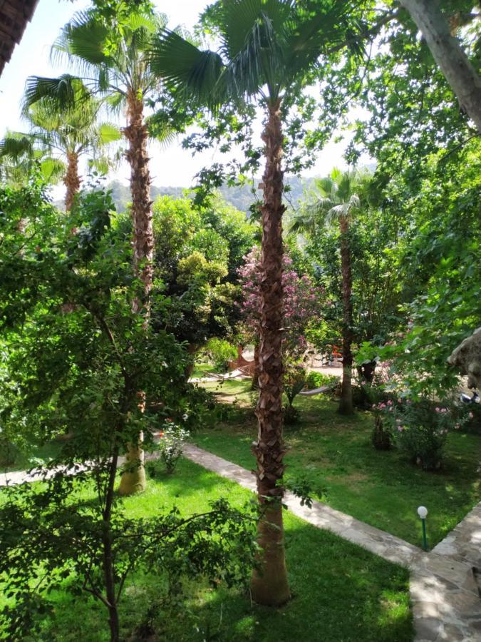 Olympos Yavuz Hotel Çıralı Extérieur photo
