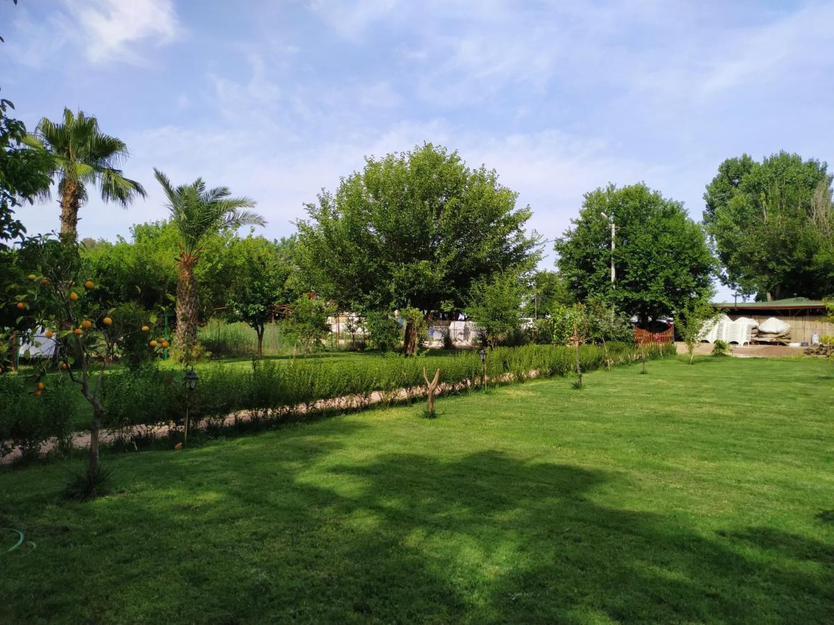 Olympos Yavuz Hotel Çıralı Extérieur photo