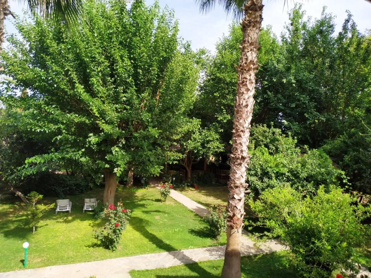 Olympos Yavuz Hotel Çıralı Extérieur photo