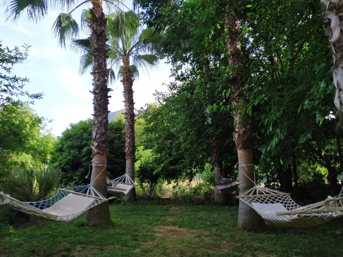 Olympos Yavuz Hotel Çıralı Extérieur photo