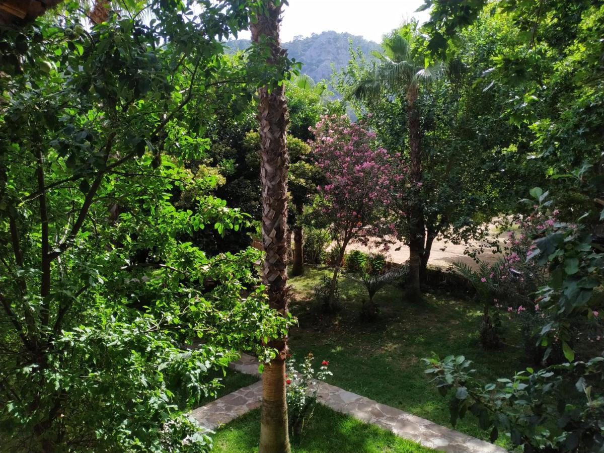Olympos Yavuz Hotel Çıralı Extérieur photo