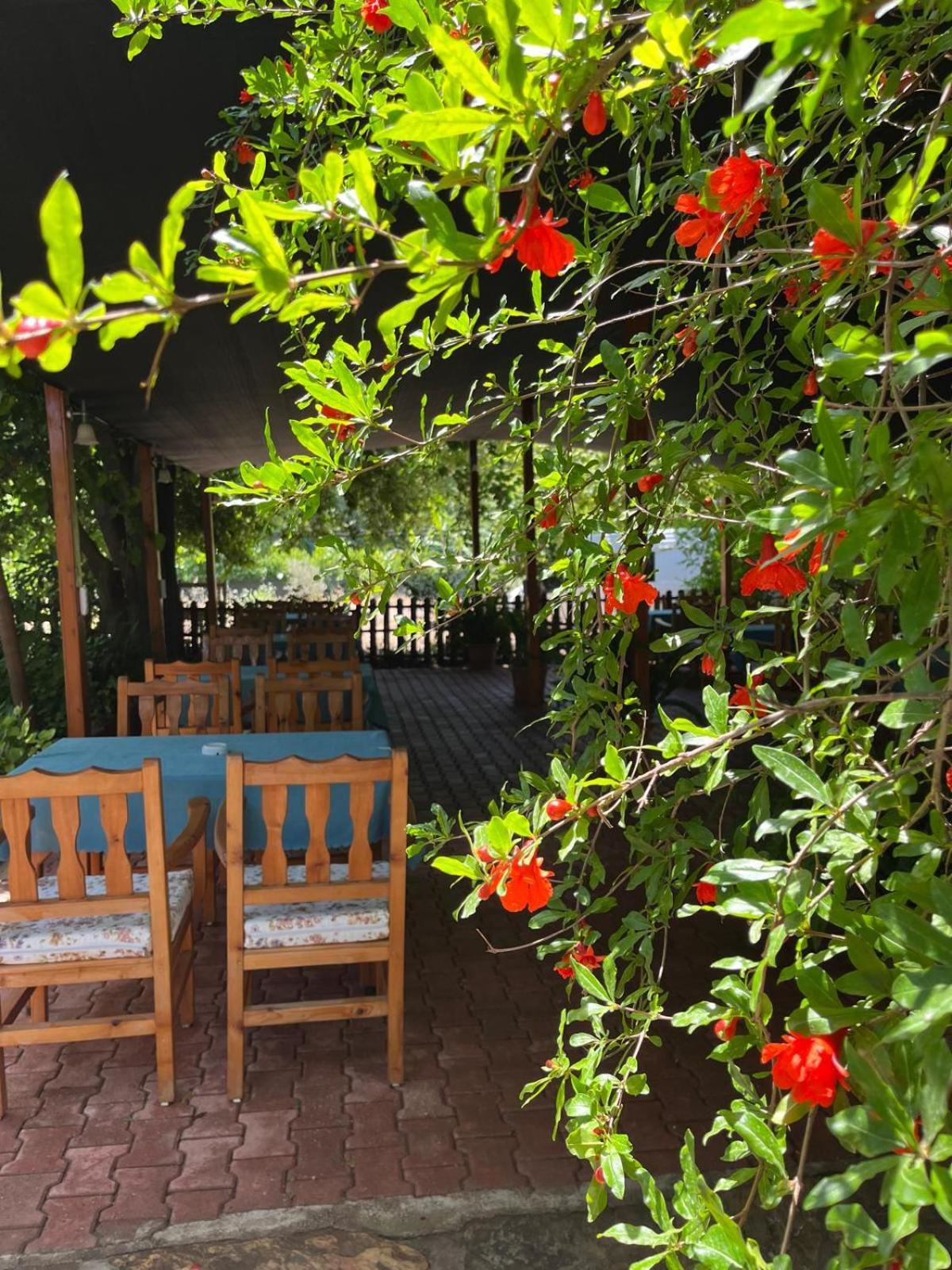 Olympos Yavuz Hotel Çıralı Extérieur photo